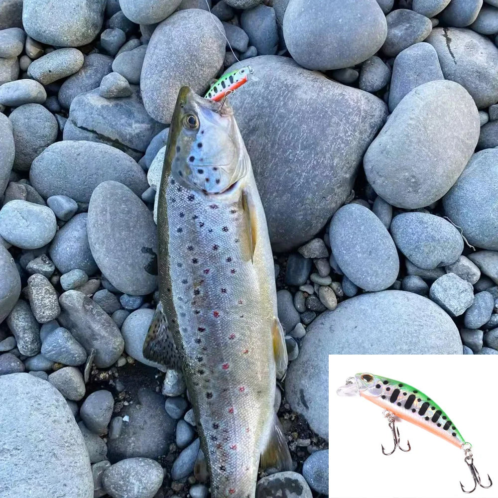 5pcs Fishing Lures Kit